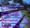ФинФорумФевр9.jpg