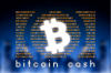 Bitcoin cash cryptocurrency (1).png