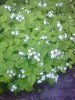 Photo0124.jpg
