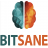 Bitsane